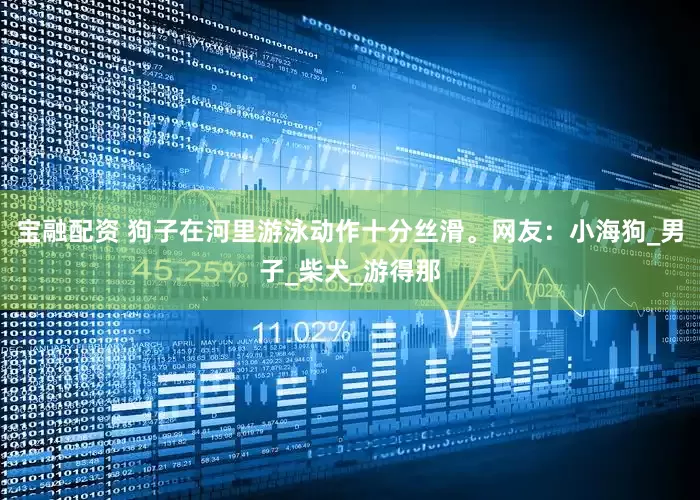 宝融配资 狗子在河里游泳动作十分丝滑。网友：小海狗_男子_柴犬_游得那