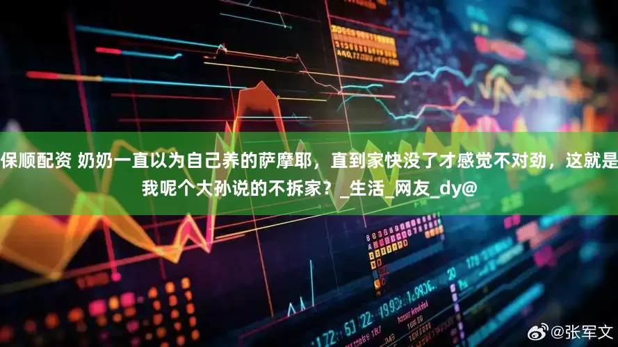 保顺配资 奶奶一直以为自己养的萨摩耶，直到家快没了才感觉不对劲，这就是我呢个大孙说的不拆家？_生活_网友_dy@